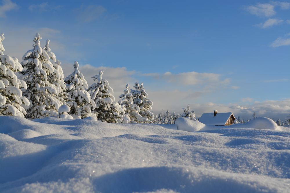De 10 bedste steder at tage hen om vinteren